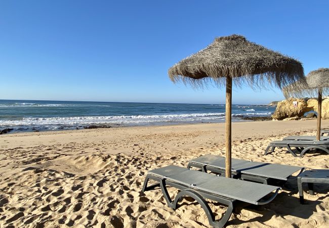 Ferienwohnung in Albufeira - Bicos R by Check-in Portugal
