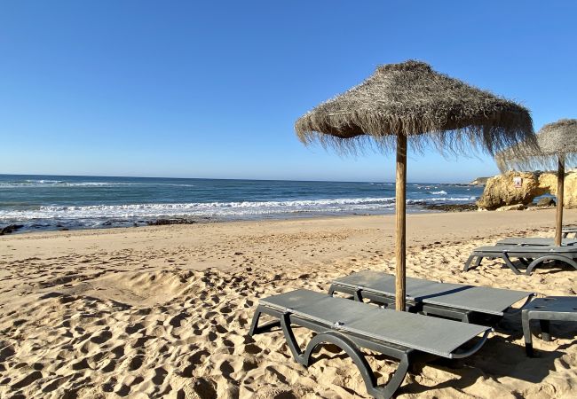 Ferienwohnung in Albufeira - Bicos M by Check-in Portugal