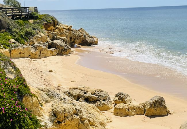 Ferienwohnung in Albufeira - Bicos U by Check-in Portugal