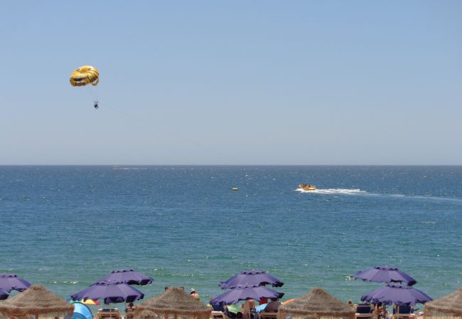 Apartment in Albufeira - CIP T1 Point 1 Apartment in Albufeira - CIP T1 Point 1