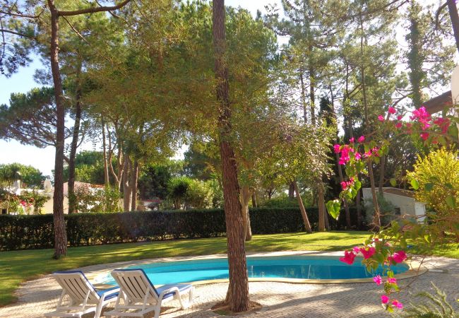 Villa in Vilamoura - CIP V5 Papa Figos Villa in Vilamoura - CIP V5 Papa Figos