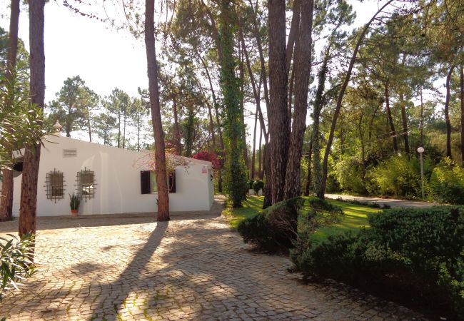 Villa in Vilamoura - CIP V5 Papa Figos Villa in Vilamoura - CIP V5 Papa Figos