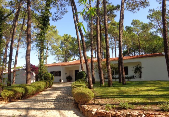 Villa in Vilamoura - CIP V5 Papa Figos Villa in Vilamoura - CIP V5 Papa Figos