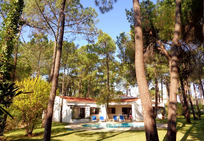 Villa in Vilamoura - CIP V5 Papa Figos Villa in Vilamoura - CIP V5 Papa Figos