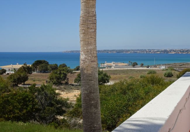 Villa in Albufeira - CIP V4 Dunas Villa in Albufeira - CIP V4 Dunas
