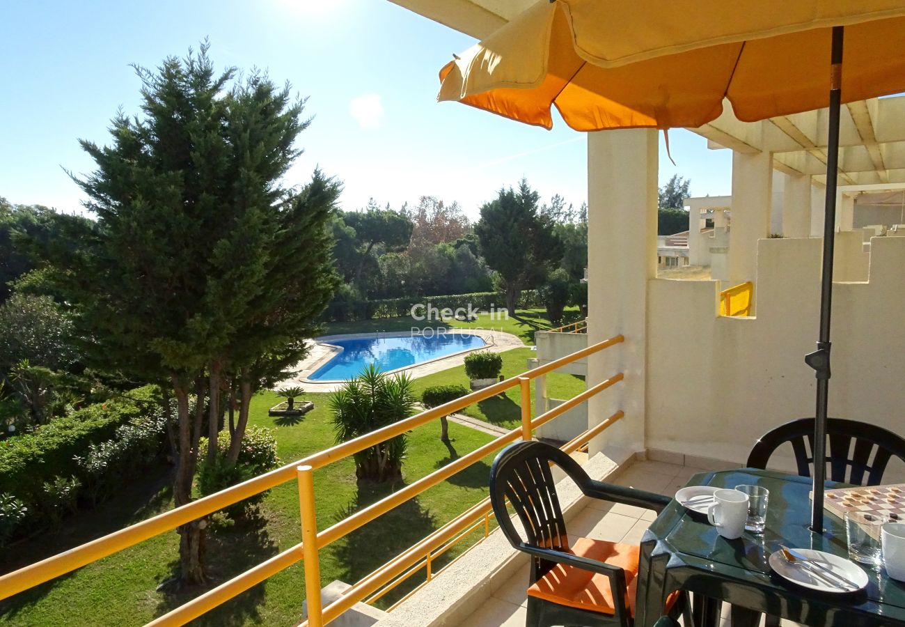 Pool; apartment; garden
