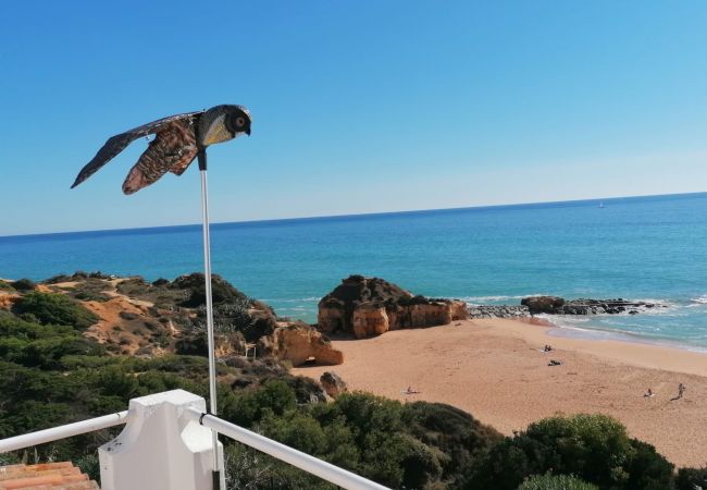 Villa in Albufeira - Beira Mar by Check-in Portugal